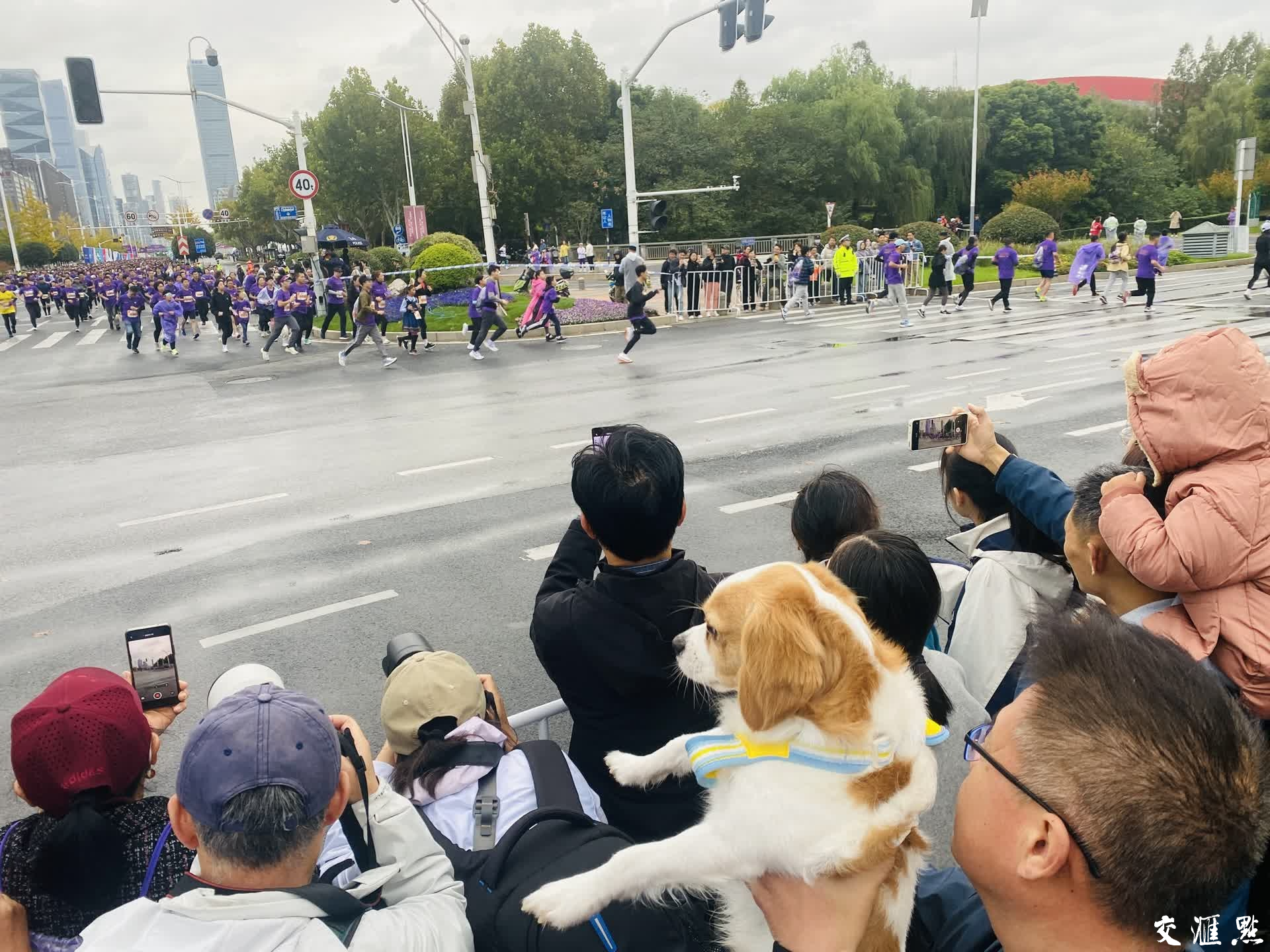 11月17日，2024南京马拉松暨大运河马拉松系列赛（南京站）在南京奥体中心鸣枪起跑。本届南京马拉松分“马拉松”和“迷你健康跑”两个项目，来自全球各地的30000名跑友在山水相依、城林交融的古都金陵，尽情挥洒汗水，体验奔跑的激情，感受南京的独特魅力。 新华日报·交汇点记者 万程鹏 蒋文超 余萍 摄