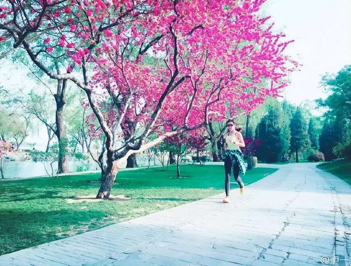 马拉松赛半程准备前要训练吗_半程马拉松赛前三天如何训练_半程马拉松赛前准备