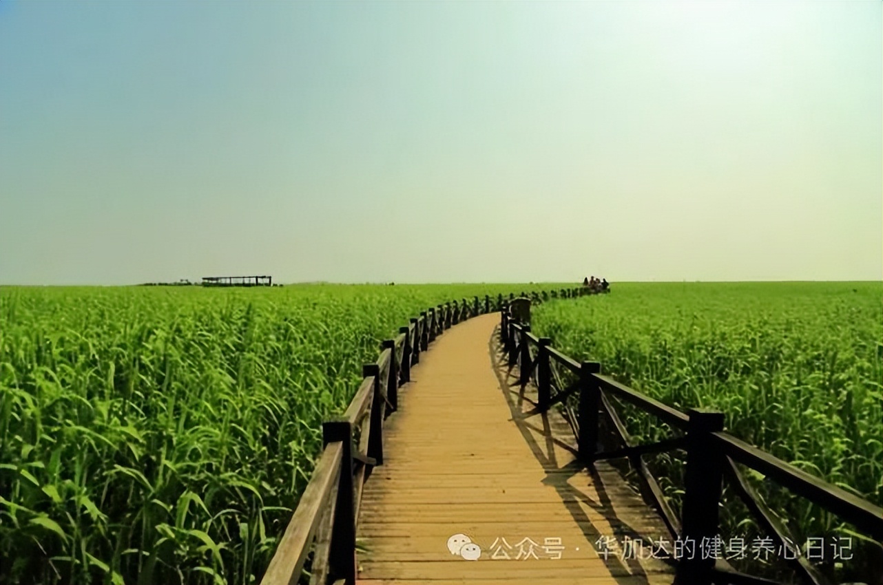 半程马拉松比赛前怎样训练_马拉松赛半程准备前要训练吗_半程马拉松赛前准备