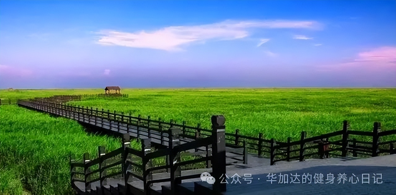 马拉松赛半程准备前要训练吗_半程马拉松赛前准备_半程马拉松比赛前怎样训练