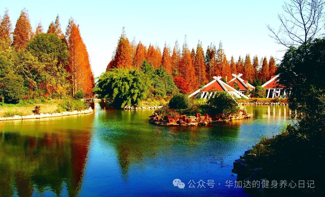 马拉松赛半程准备前要训练吗_半程马拉松比赛前怎样训练_半程马拉松赛前准备