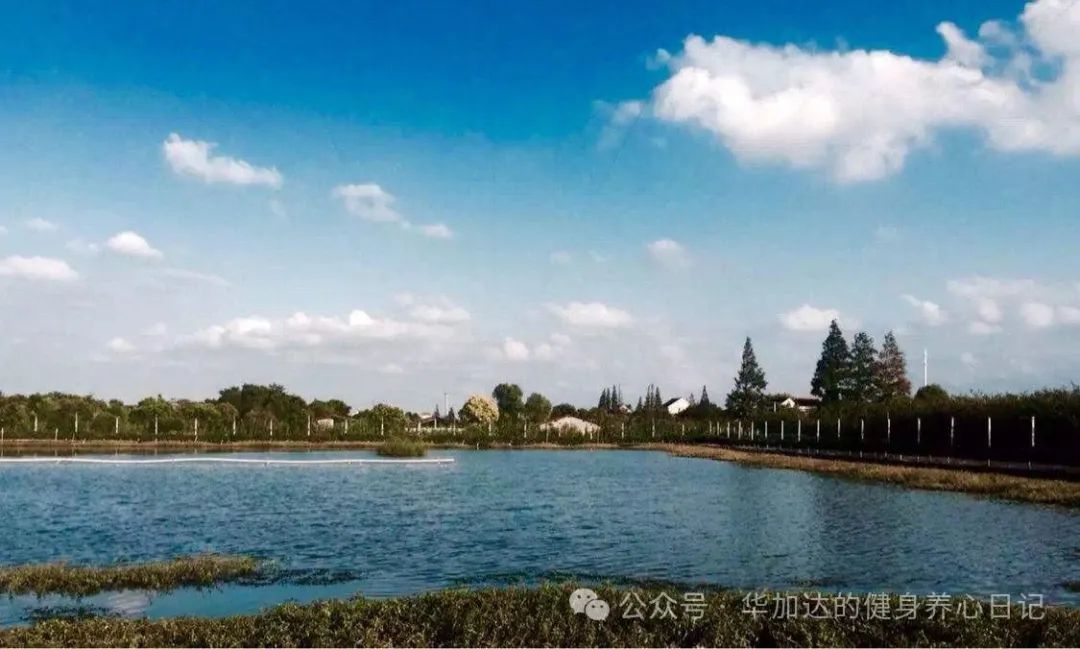 半程马拉松赛前准备_马拉松赛半程准备前要训练吗_半程马拉松比赛前怎样训练