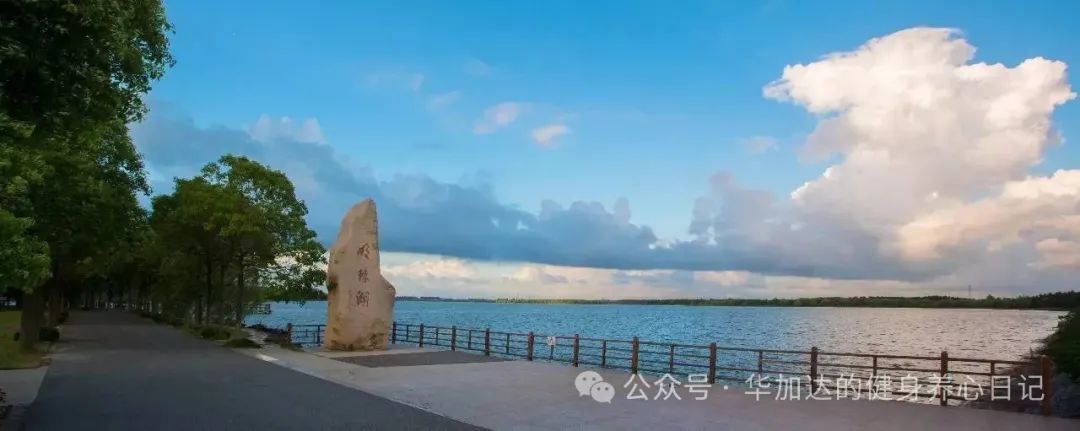 马拉松赛半程准备前要训练吗_半程马拉松比赛前怎样训练_半程马拉松赛前准备