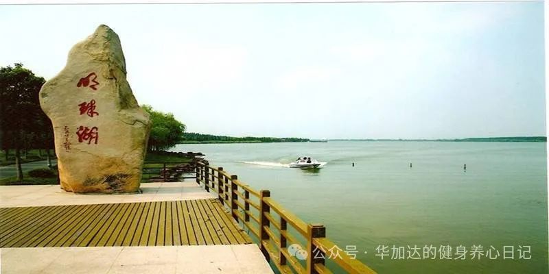 半程马拉松赛前准备_马拉松赛半程准备前要训练吗_半程马拉松比赛前怎样训练