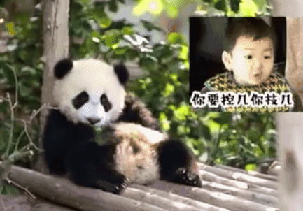 明星晒健身照_做健身直播好吗_明星脸健身直播