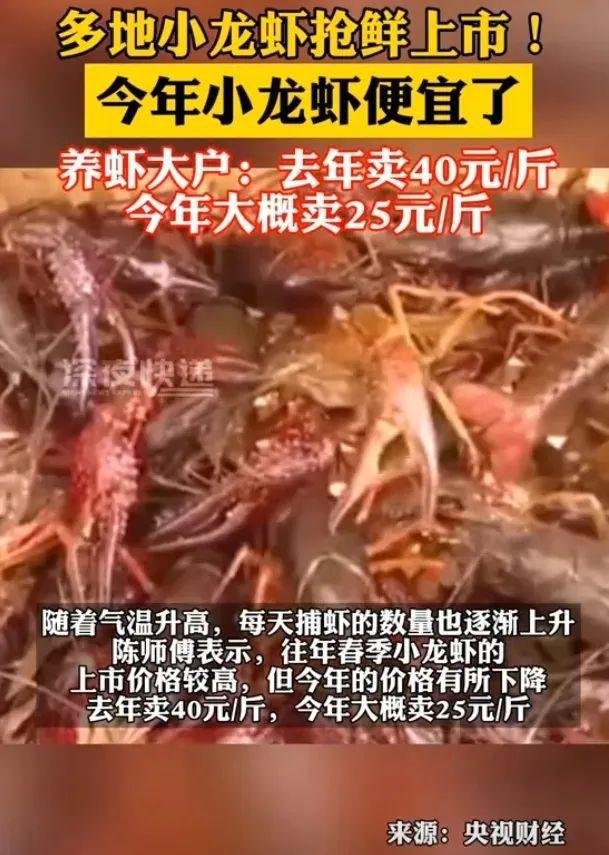 莫斯科马拉松_莫斯科马拉松官网_莫斯科马拉松赛