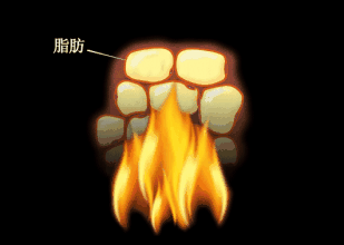 姨妈健身房有氧运动_姨妈期有氧运动_姨妈期间健身房运动